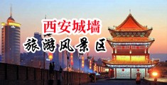 逼穴鸡巴屌操骚妇中国陕西-西安城墙旅游风景区