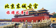 多毛熟女操逼视频网中国北京-东城古宫旅游风景区